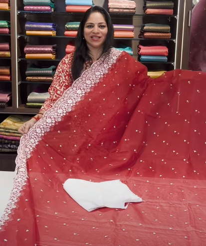 Organza Sarees with Hacoba blouse butt - NA01